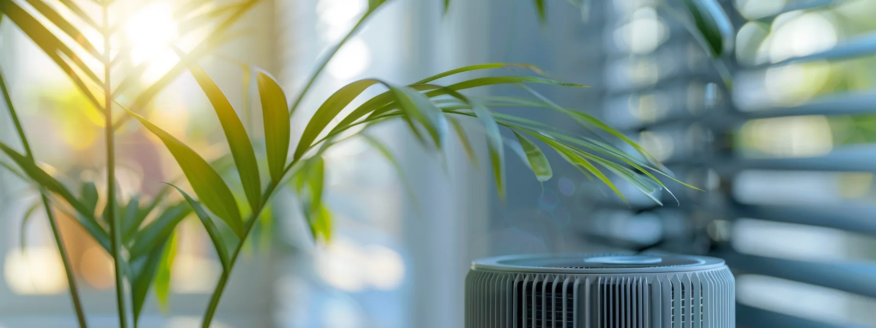 a clear air purification system installed next to a clean, well-maintained hvac filter, emphasizing the importance of maintaining cleaner indoor air.